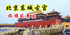 美眉馆亚洲中国北京-东城古宫旅游风景区